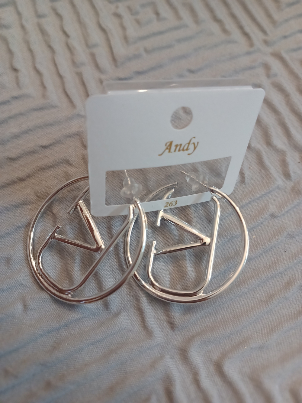 Silver Hoop Earrings